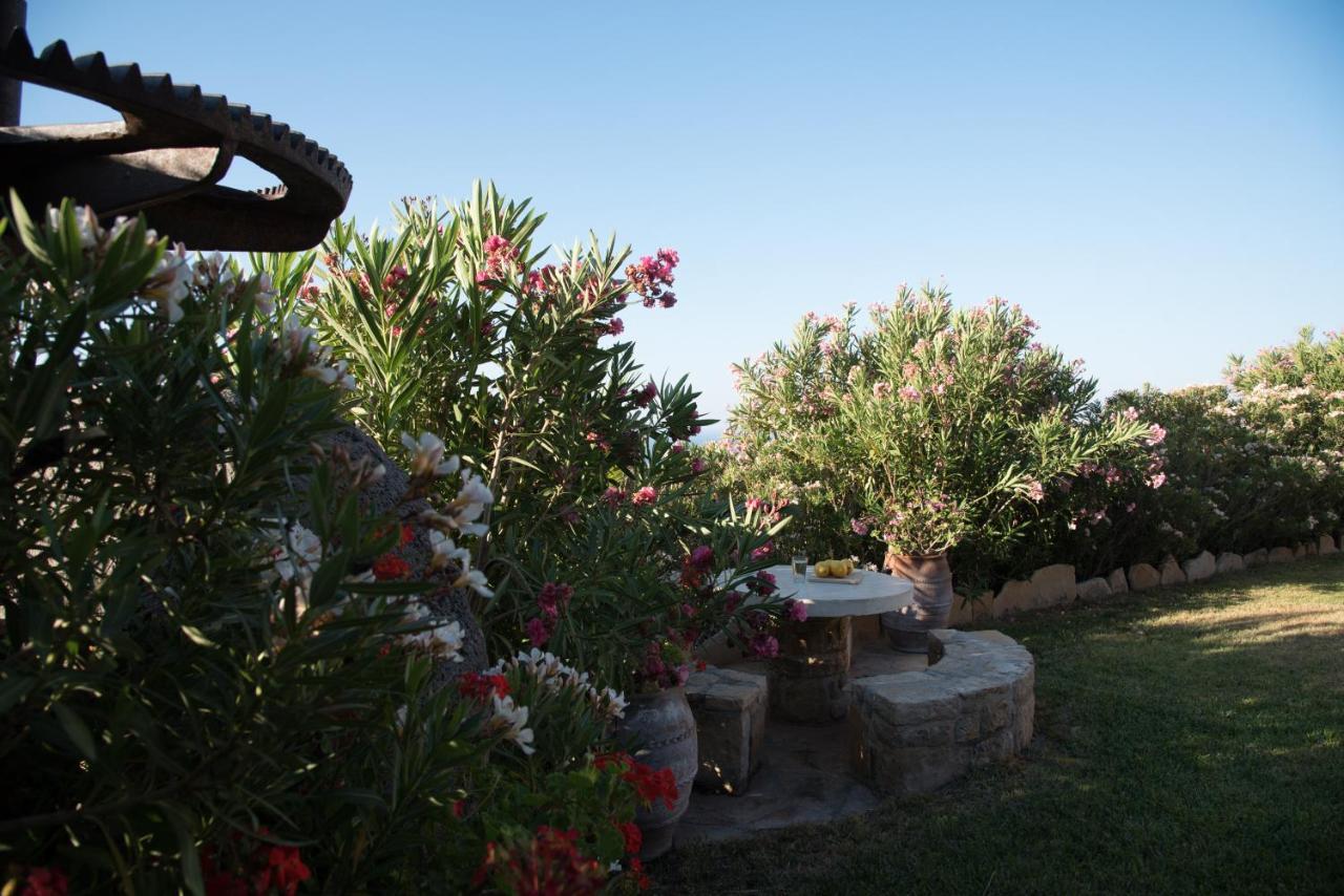 Triopetra Luxury Villas Panagia Buitenkant foto